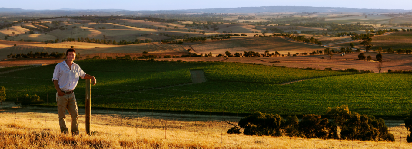 Tony Brooks at Pindarie vineyard 